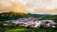 陈树文∣毛泽东的革命生涯：投身工农革命