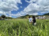让百姓的日子越过越红火——民生一线观察