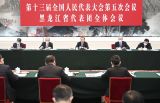 赵乐际参加黑龙江代表团审议