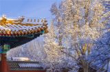 晴雪艳阳下的景山美翻了