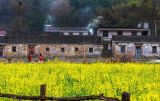 产业强、农村美、群众富——今日大别山居图