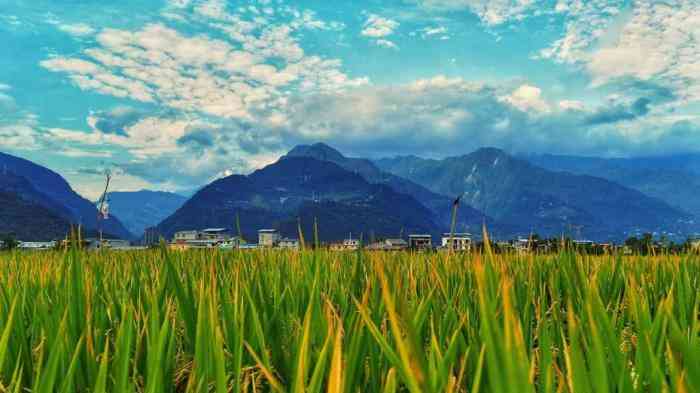 中国如何在绿色转型中绘就新时代“千里江山图”?