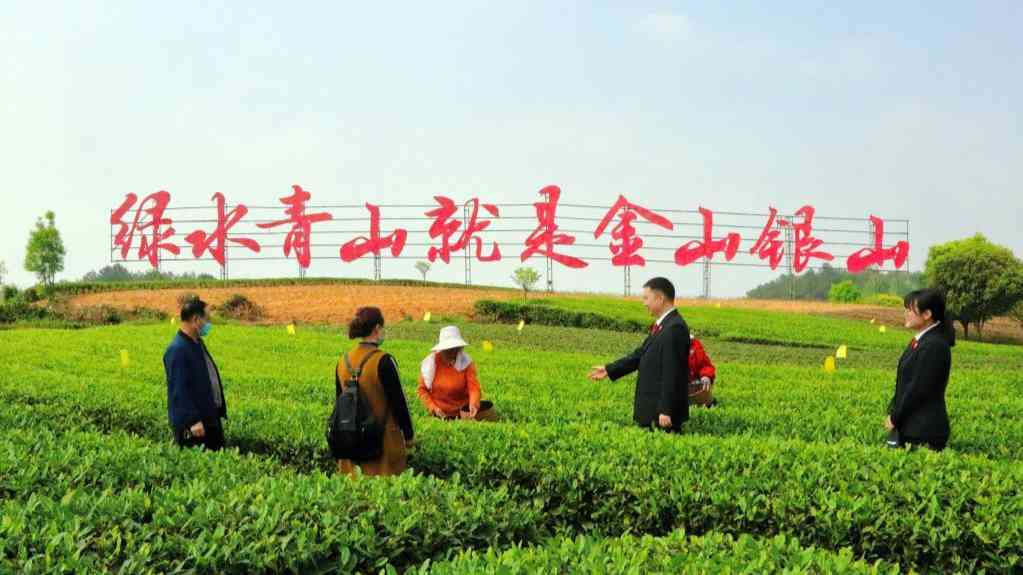 “治未病”“治已病”“防復(fù)發(fā)”——解碼成都“訴源治理”