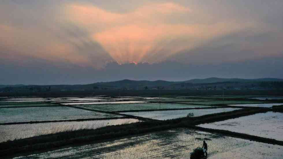 端穩(wěn)“飯碗”守牢底線:中國保障糧食安全