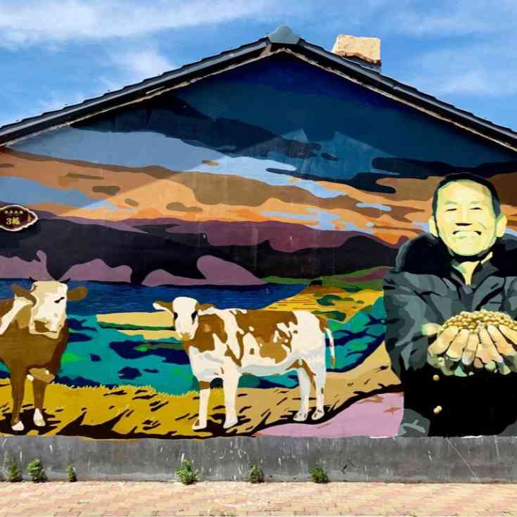 墻上開“花”墻外香