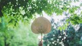 打好乡村振兴“人才牌”