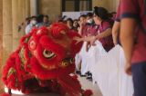 马耳他举办第四届“中国风筝节”