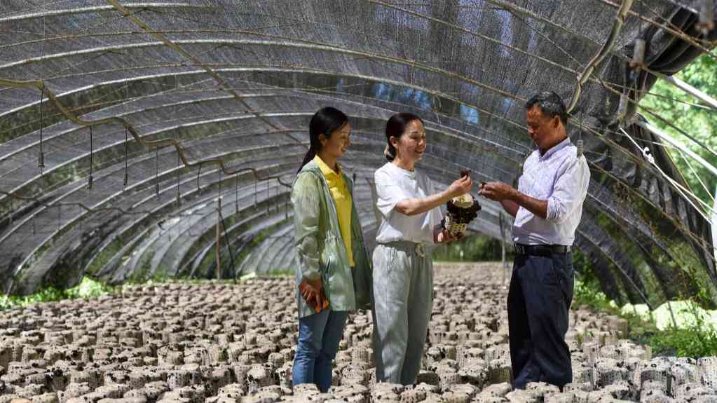 激活乡村振兴新动能