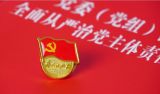 全面从严治党 继续推进新时代党的建设新的伟大工程