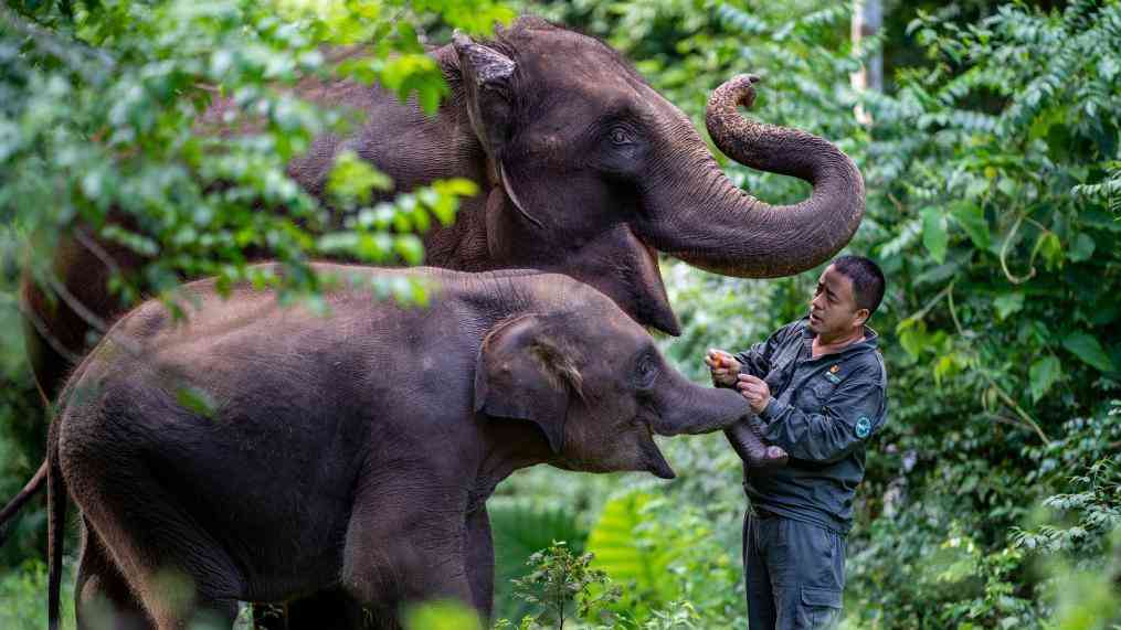 云南:实干奋进,勇闯跨越式发展之路