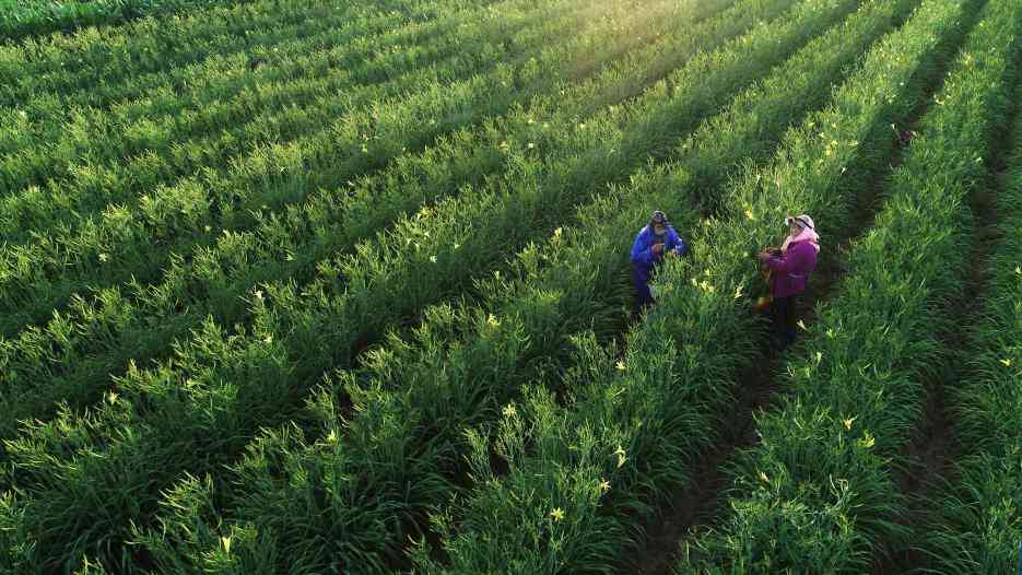 宁夏:塞上江南展新颜 创造美好新生活