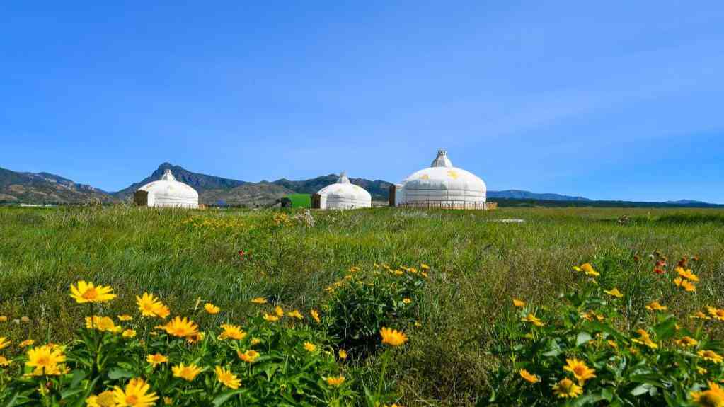 敕勒川:告别砂石滩,回归大草原