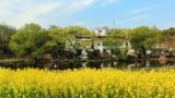 【地评线】京彩好评：甘甜饮水润民心