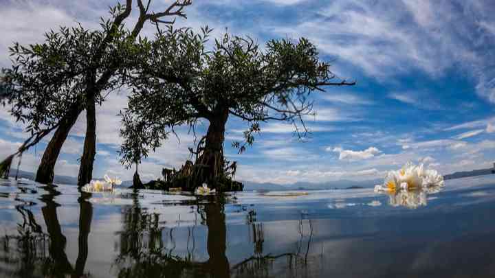 云南:描繪人與自然和諧共生新圖景