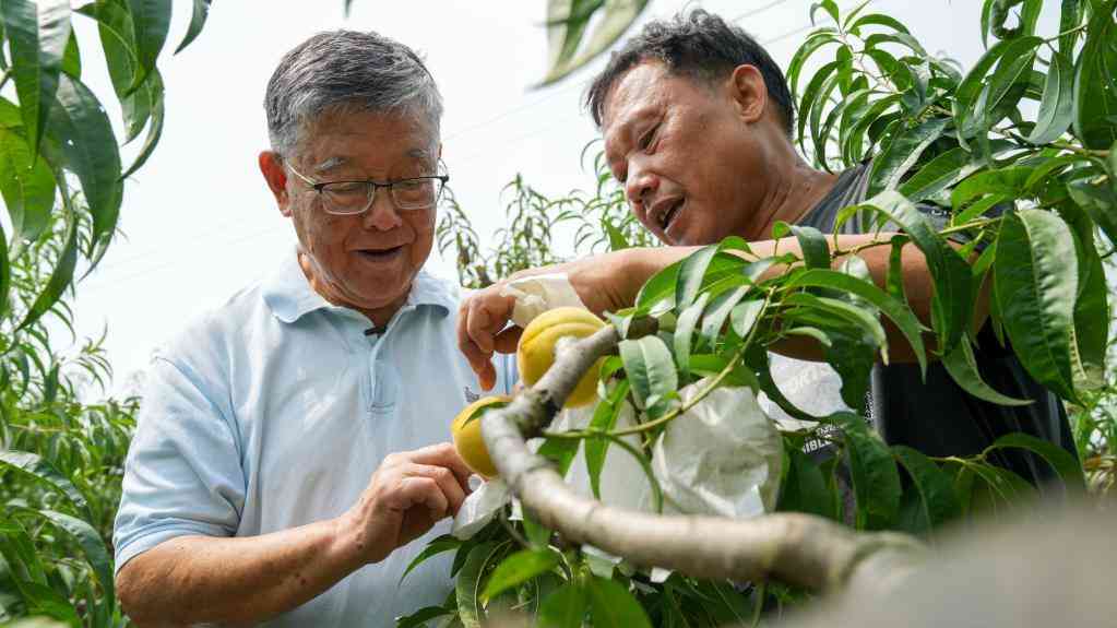 二十大代表风采丨赵亚夫:走好科技兴农富农路