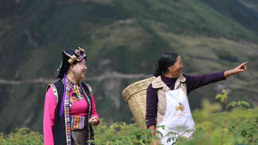 二十大代表風(fēng)采丨陳望慧:“種下”玫瑰產(chǎn)業(yè)帶富千萬家