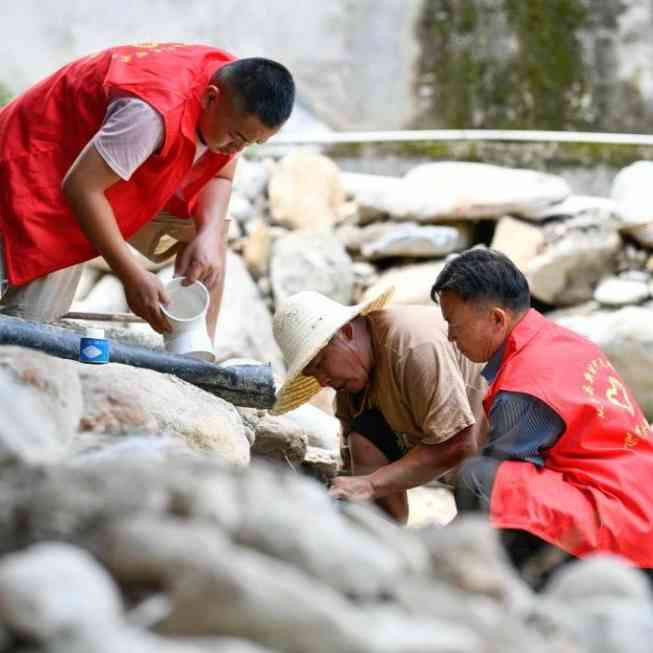 咬定青山不放松