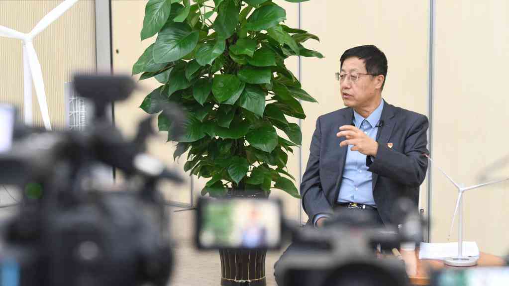 二十大代表风采丨武钢:新时代的风电追梦人