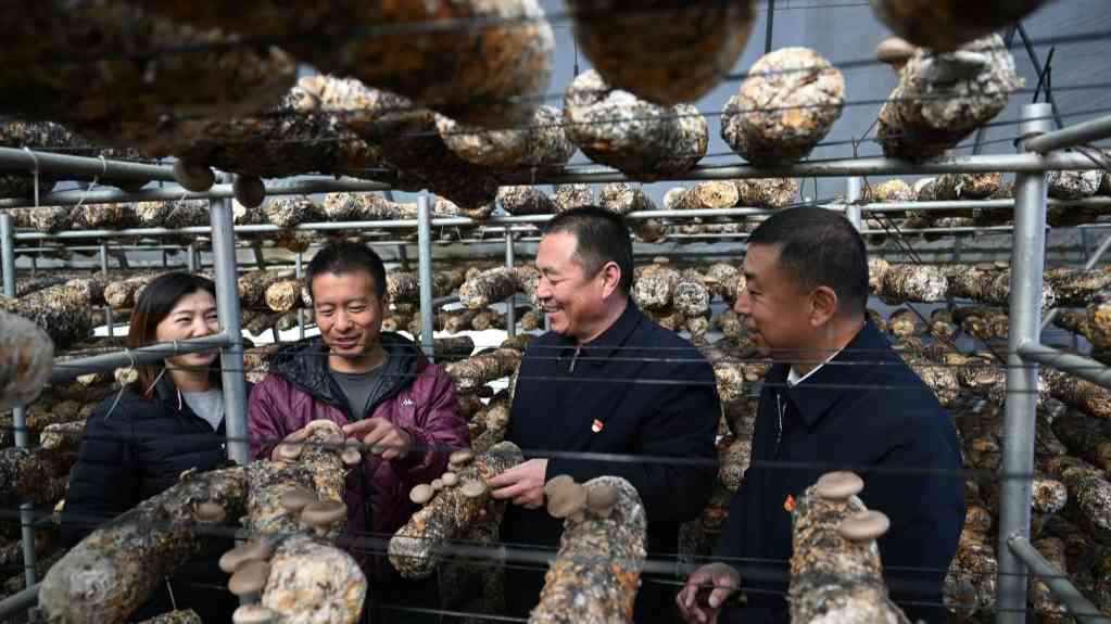 二十大代表在基层丨顾瑞利:当好乡村振兴“领头雁”