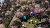 【地评线】京彩好评：助力“赏花经济”常开常艳 为乡村旅游赋能添彩