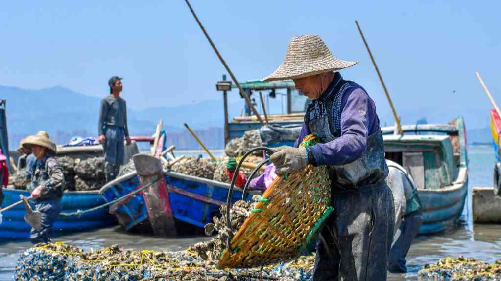 问计于民:中国地方治理提质增效的一把“钥匙”