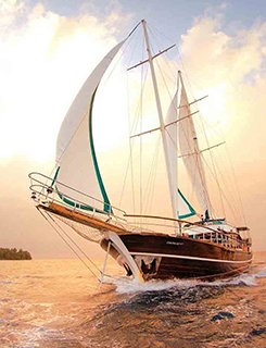 习近平眼中的伟大建党精神