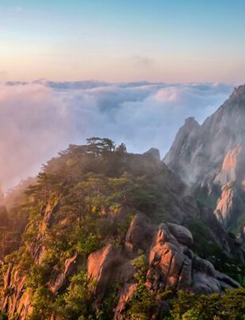 请党放心 强国有我 |让五星红旗在世界技能大赛赛场冉冉升起