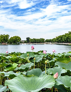 5个要点,习近平谈新时代党和人民奋进的必由之路