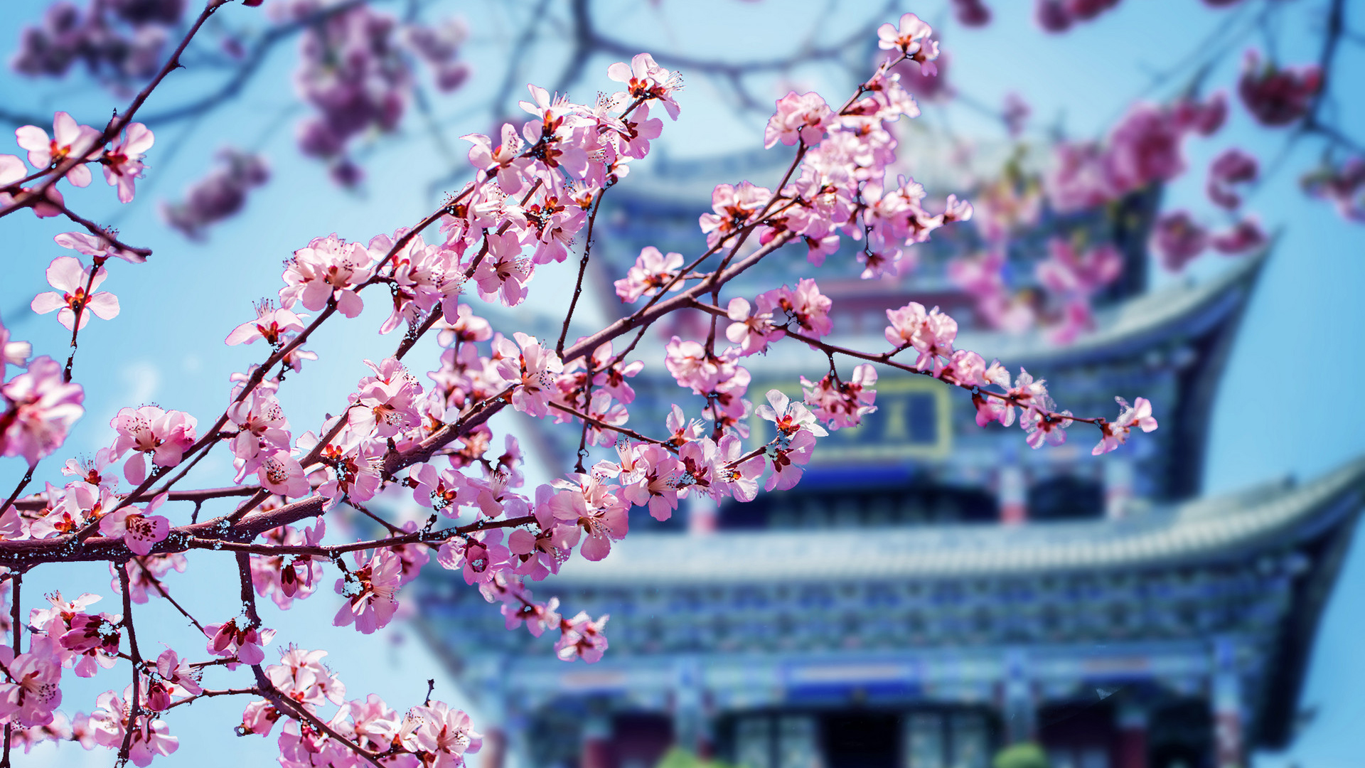 中国共产党对人民立场的坚守