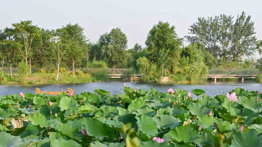昔日“蚊子河”變身生態(tài)“休閑廊”