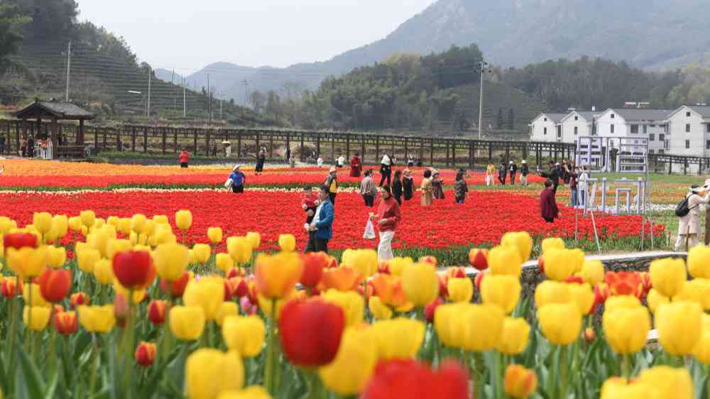 撲下身子“迎考” 沉到一線“解題”——解碼“浦江經(jīng)驗”