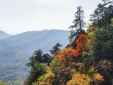 新时代十年首都生态文明建设和国土空间生态修复成效及政策体系