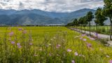 让“四下基层”蔚然成风