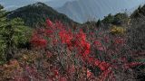 “四下基层”要以“镜”观之