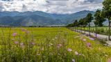 感悟“四下基层”中蕴含的“破”字诀