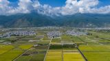 【理响中国】主题教育收官不是“收场”