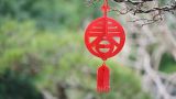 感受年味重在传承那份独特的春节记忆