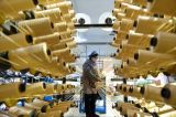 起步即冲刺 拼出民营经济“新春天”