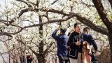 “春日经济”绽放 消费热潮涌动