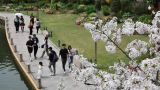 飞絮治理彰显城市温情