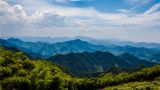 坚持实事求是思想路线的经验启示