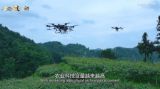【理响中国】全面推进乡村振兴战略 探索农业农村现代化建设的北京实践