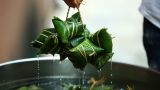 感悟“端午佳节”的厚重内涵