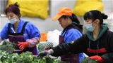【学思想 话改革】“土特产”解锁乡村全面振兴“源密码”