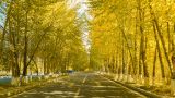 深刻理解学习意义 系统把握体系要义——学习贯彻习近平新时代中国特色社会主义思想