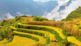 新中国成立75年来农业农村发展取得的伟大成就