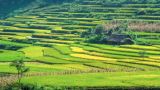 新中国成立75年来农业农村发展取得巨大成就的经验