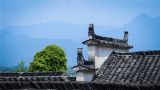 中医对于癌症的预防与治疗