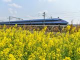 【学习课件】2024年中央经济工作会议要点梳理
