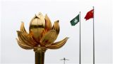 与祖国同向同行，让“濠江莲花”绚丽绽放